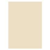 Aperturee - Professional Solid Beige Color Backdrop For Photography